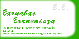 barnabas bornemisza business card